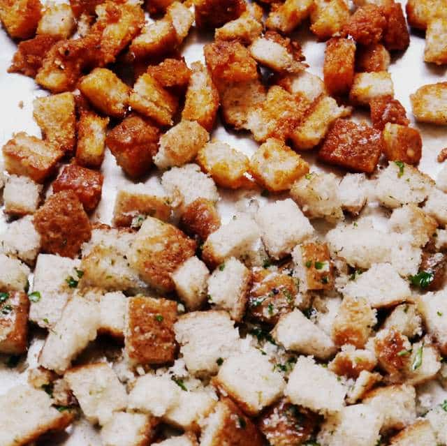 1 P1030405 1-P1030405