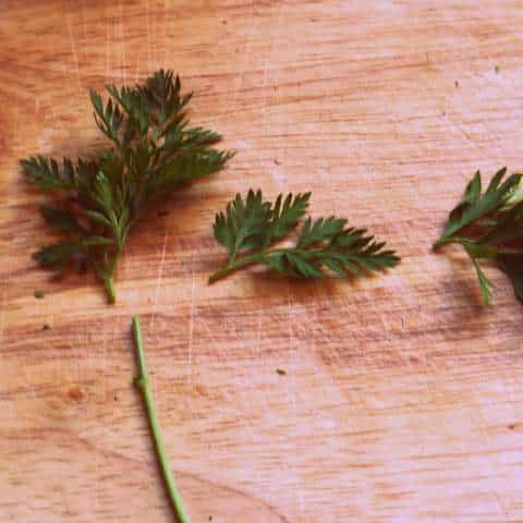 1 P1030741 1-P1030741