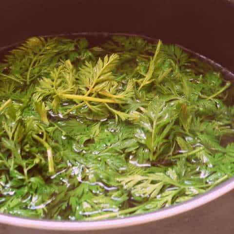 1 P1030749 1-P1030749