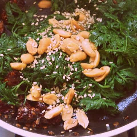 1 P1030754 1-P1030754