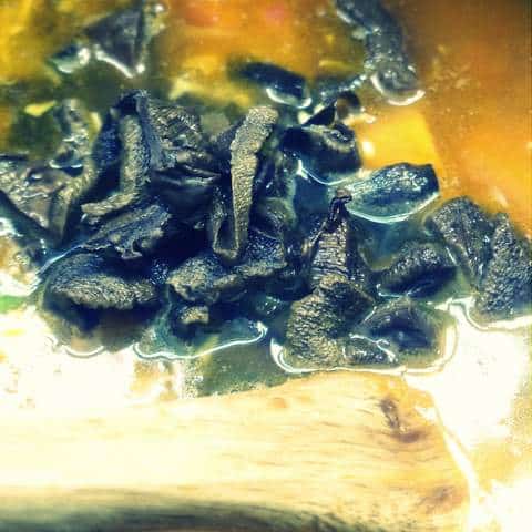 1 P1030950 1-P1030950