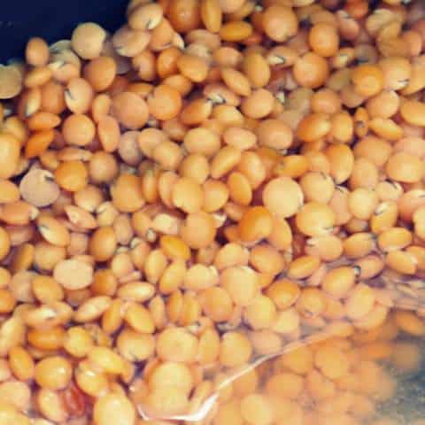 1 P1040075 lentejas turcas