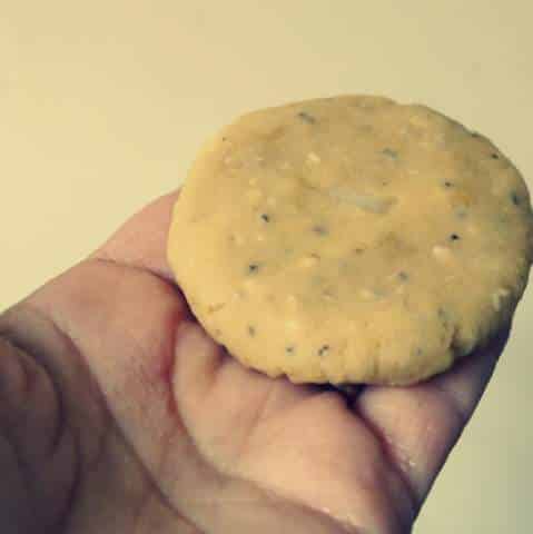 1 P1040098 1-P1040098