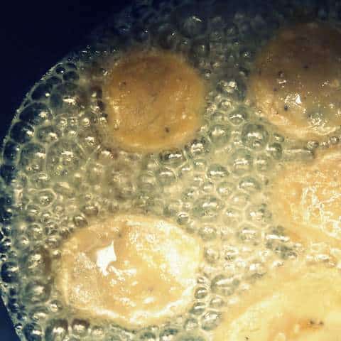 1 P1040100 1-P1040100