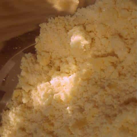 1 P1040175 1 P1040175