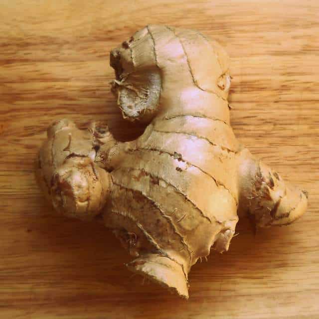 1 P1040572 1-P1040572