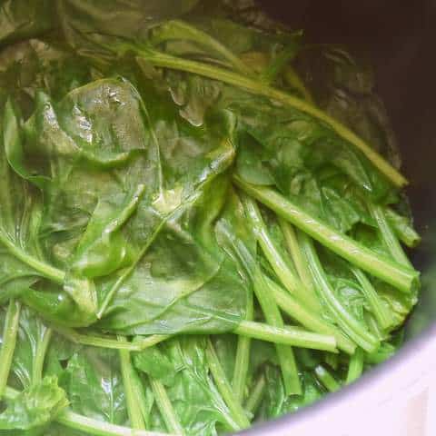 1 P1030788 1-P1030788