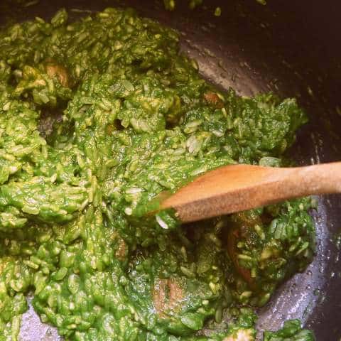 1 P1030803 1-P1030803