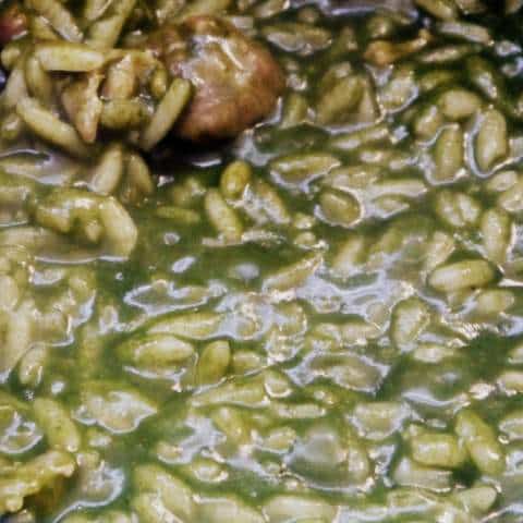 1 P1030807 1-P1030807