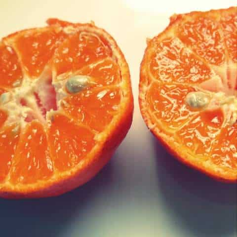 1 P1040347 1 P1040347