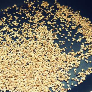 1 P1040399 1-P1040399