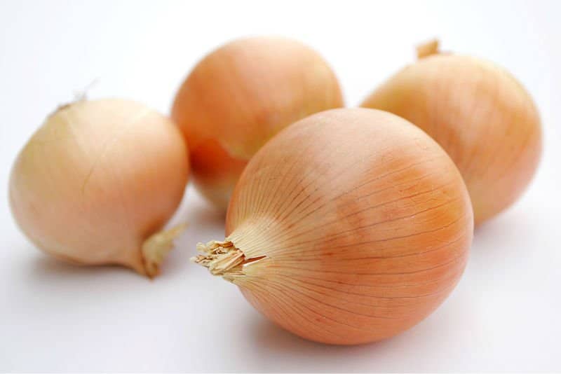 onion yellow medium size sale onion_yellow_medium_size_sale