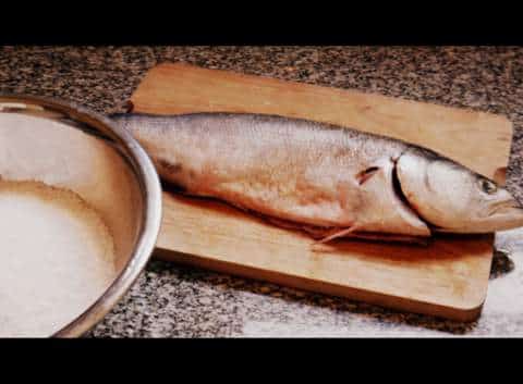 1 P1040370 1 P1040370