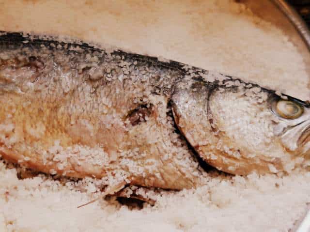 1 P1040377 1-P1040377