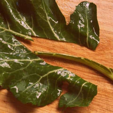 1 P1050245 1 P1050245