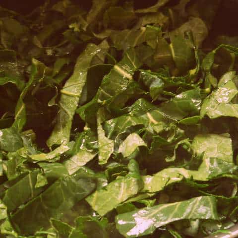 1 P1050249 1 P1050249