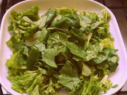 1 P1050301 1-P1050301