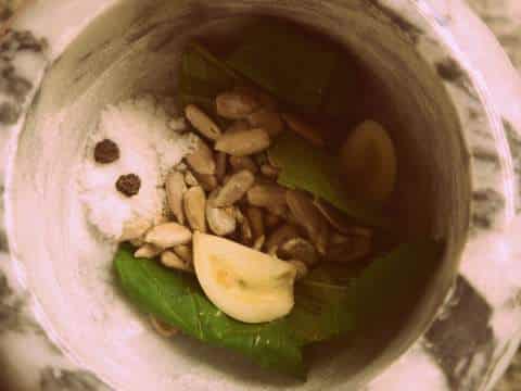 1 P1050488 pèsto de menta