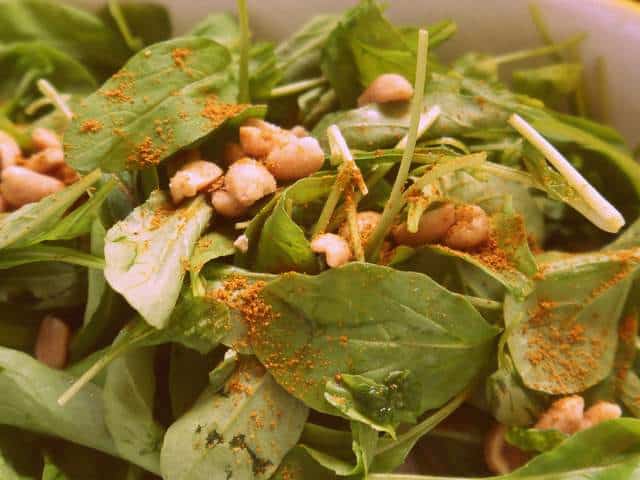 1 P1050491 1 P1050491