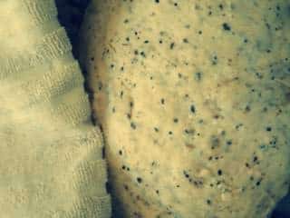 1 P1060559 e1404736200488 1 P1060559 e1404736200488