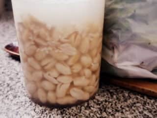 P1120735 sopa de maní