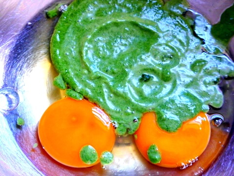 1 P1090281 1712603712 1 P1090281 1712603712