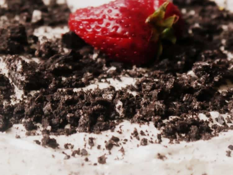 P1180624 e1449060900888 como hacer cheesecake sin horno