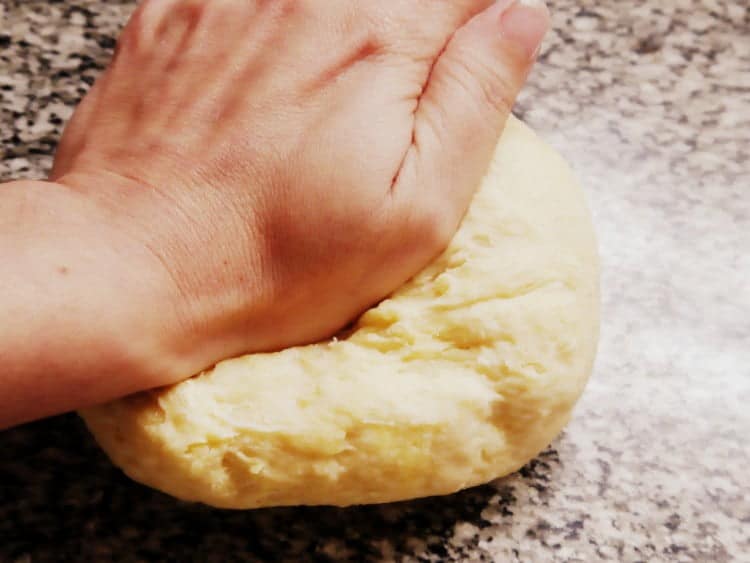 P1180371 e1454446321477 masa de lasaña