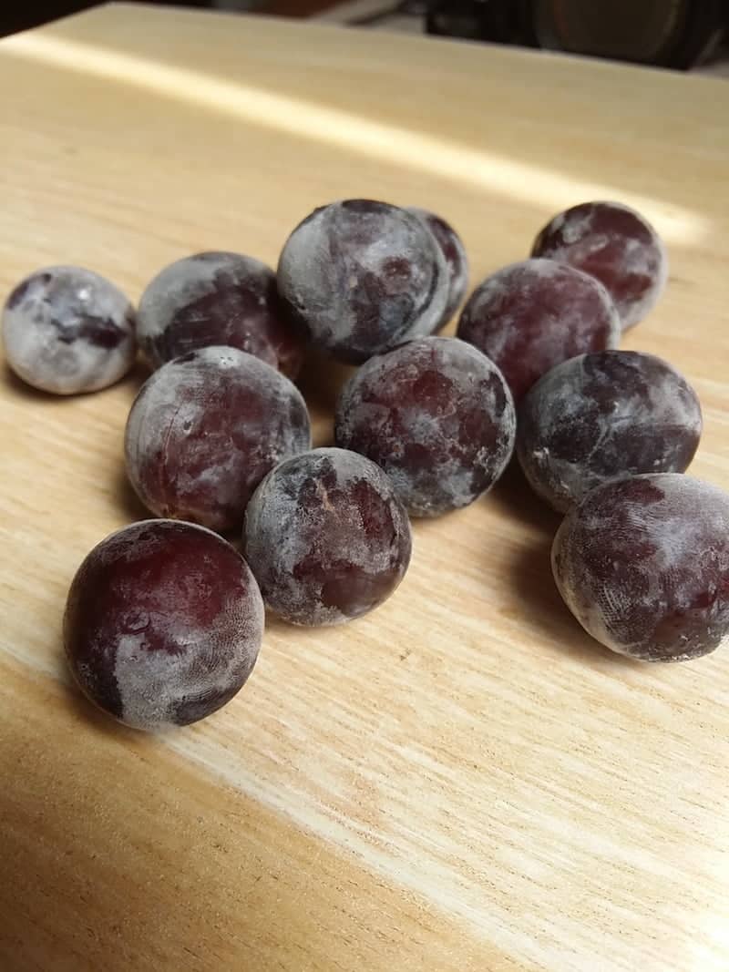 IMG 20170204 110847 1 Vianda de frutas