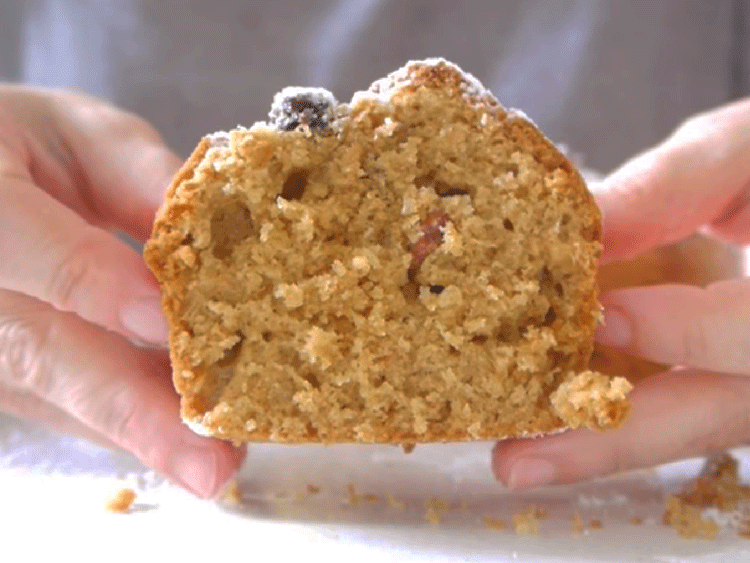 budín integral budin1