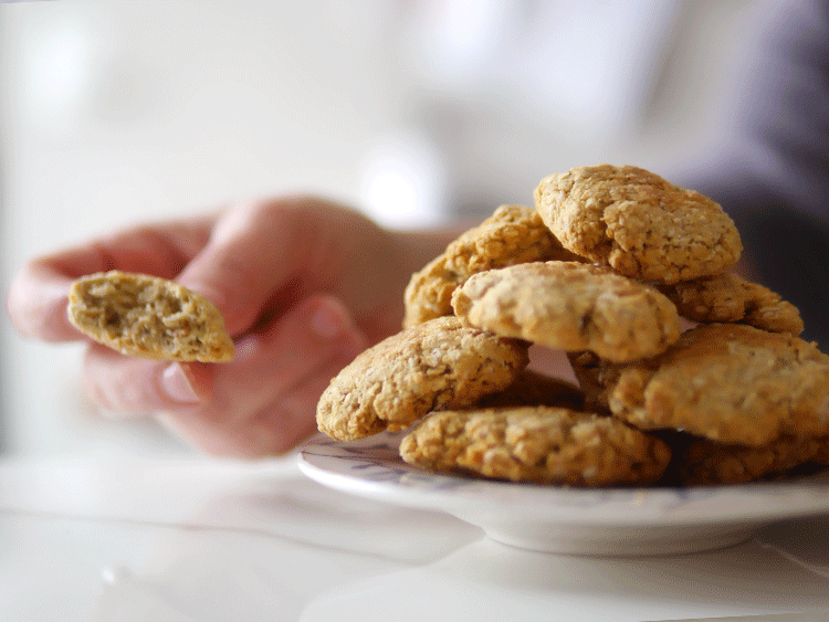galletitas de avena sin azucar galletitas de avena