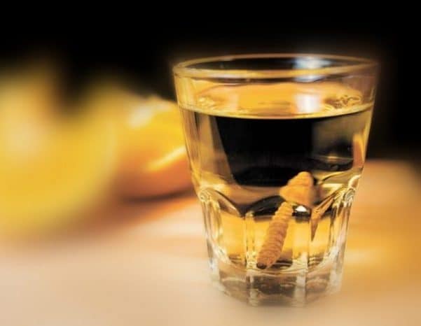 56df4981 de99 4c45 81ce e4081a54dd1e e1578633808445 Como hacer Mezcal