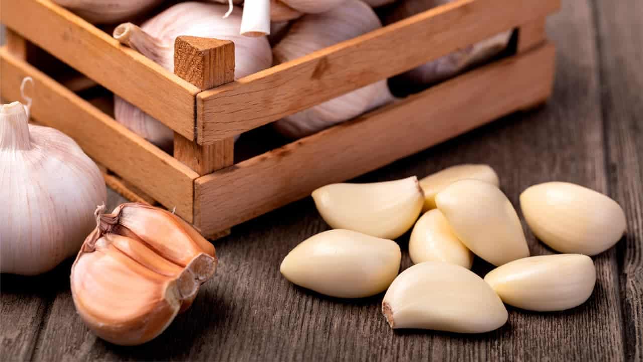 recetas con ajo recetas con ajo