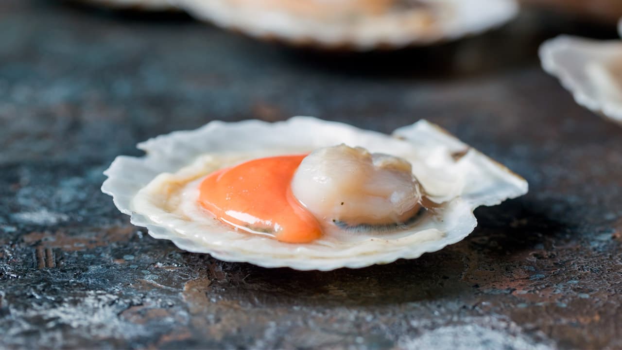 zamburinass zamburiñas