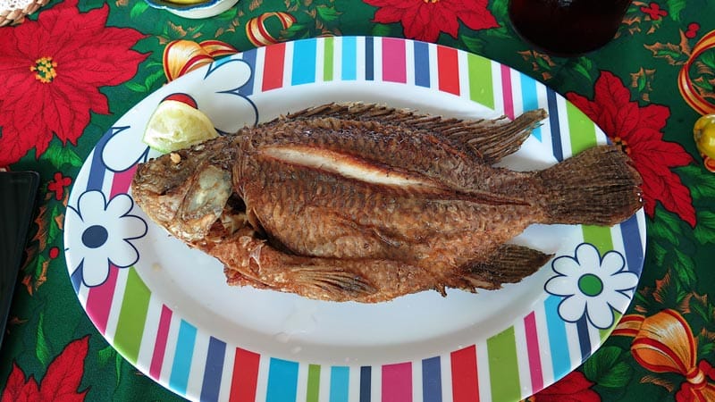 como hacer mojarras fritas Como hacer mojarra frita dorada