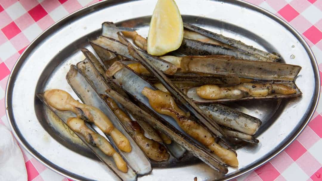 receta navajas a la plancha receta navajas a la plancha