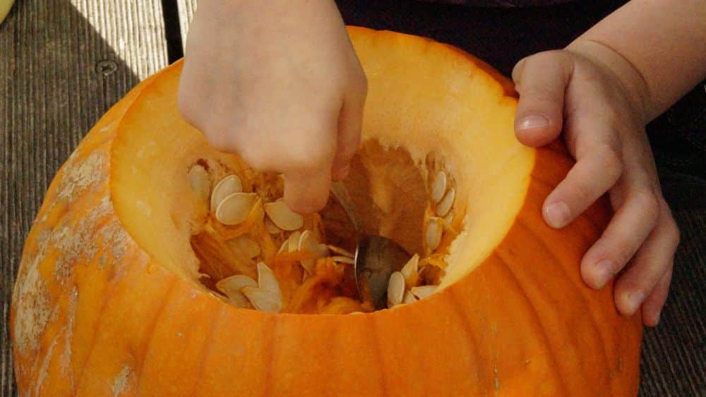 como hacer una calabaza de halloween 1 receta con calabaza