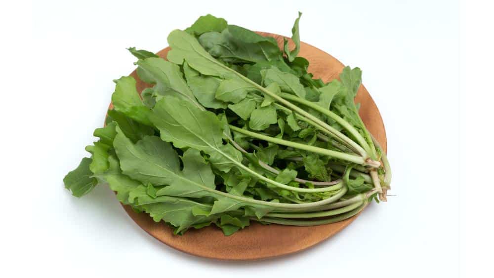 arugula beneficios recetas con arugula
