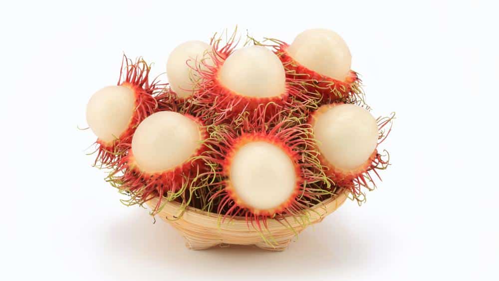 lichis peludos receta fácil con rambutan