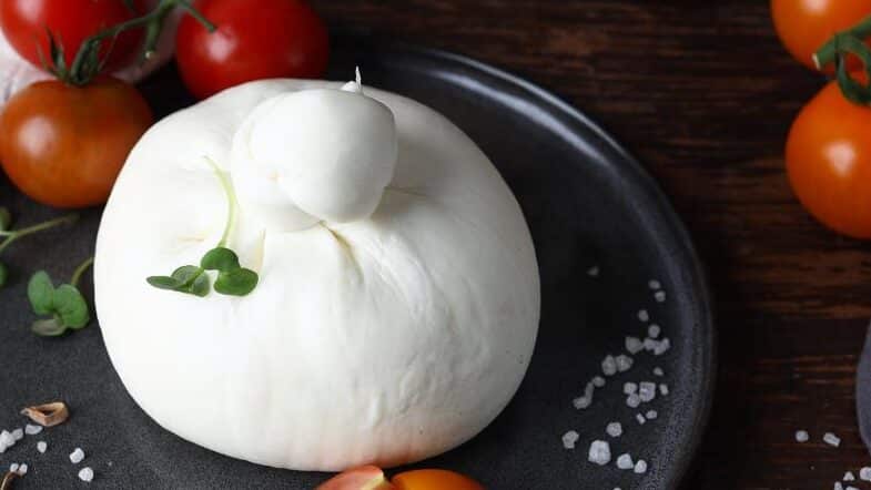 queso burrata e1693835630501 como hacer burrata