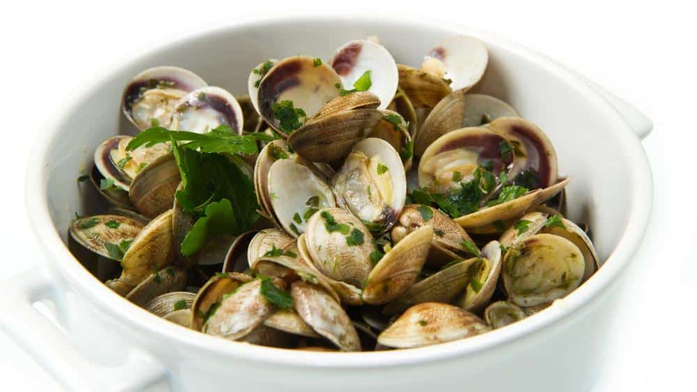 tellinas como hacer coquinas