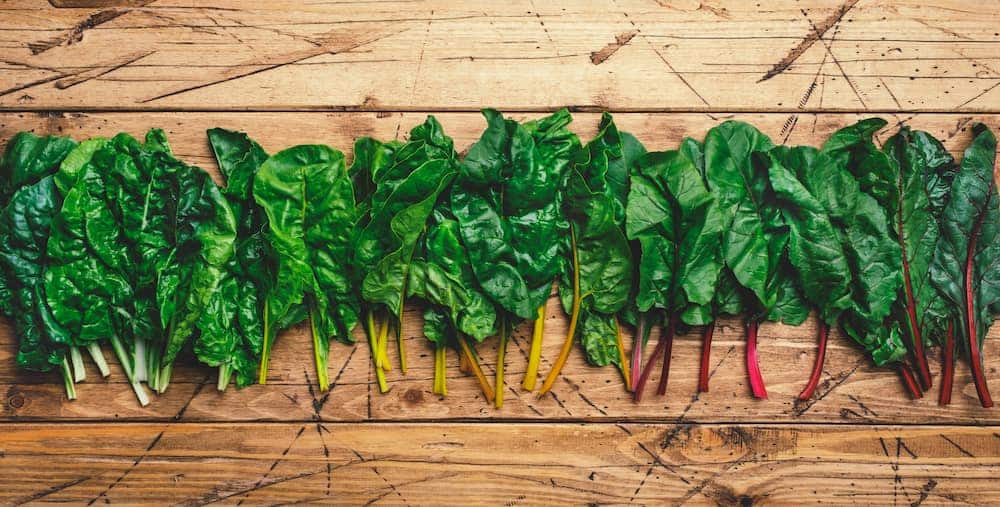 recetas con acelga 1747213225 como hacer torrejas de acelga