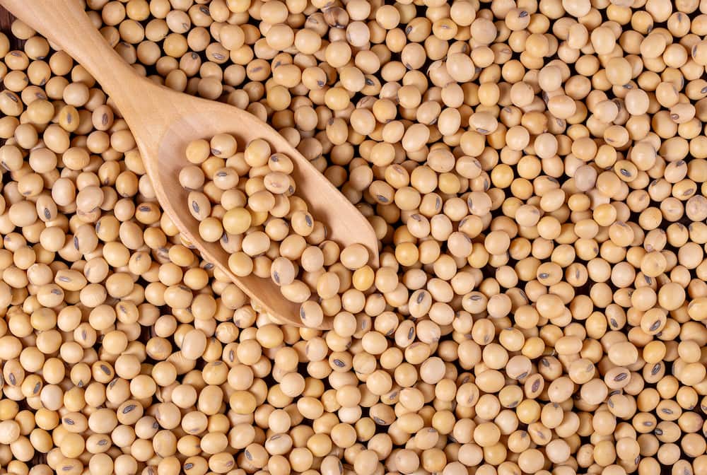 soja para milanesas de soja 1749111006 milanesa de soja casera