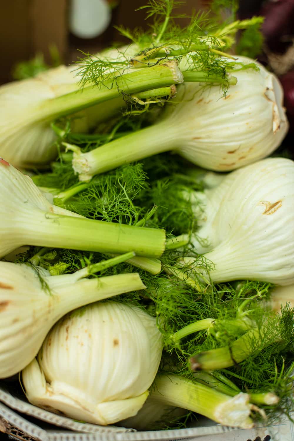 hinojo para que sirve 1757270486 hinojo casero paso a paso