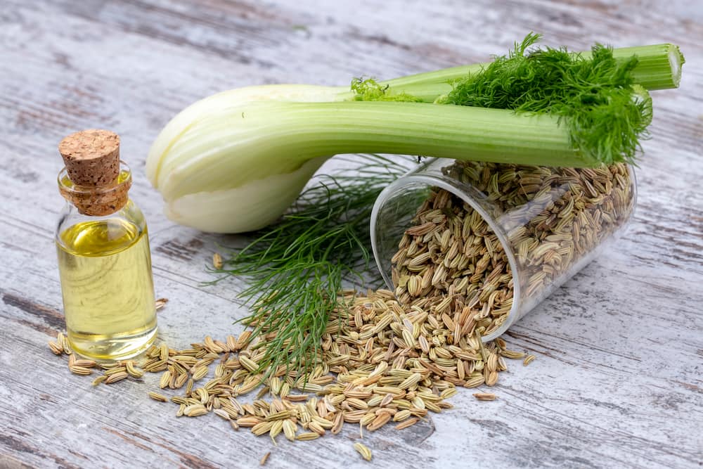 infusion de hinojo 1757270500 preparar hinojo en casa