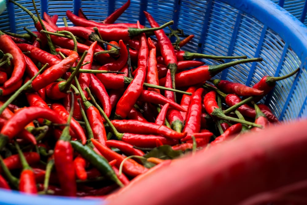 ingredientes sriracha 1759057376 sriracha casera