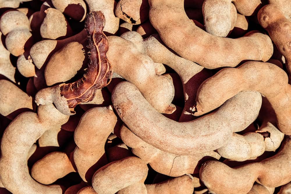 tamarindo que es 1757095074 tamarindo receta casera