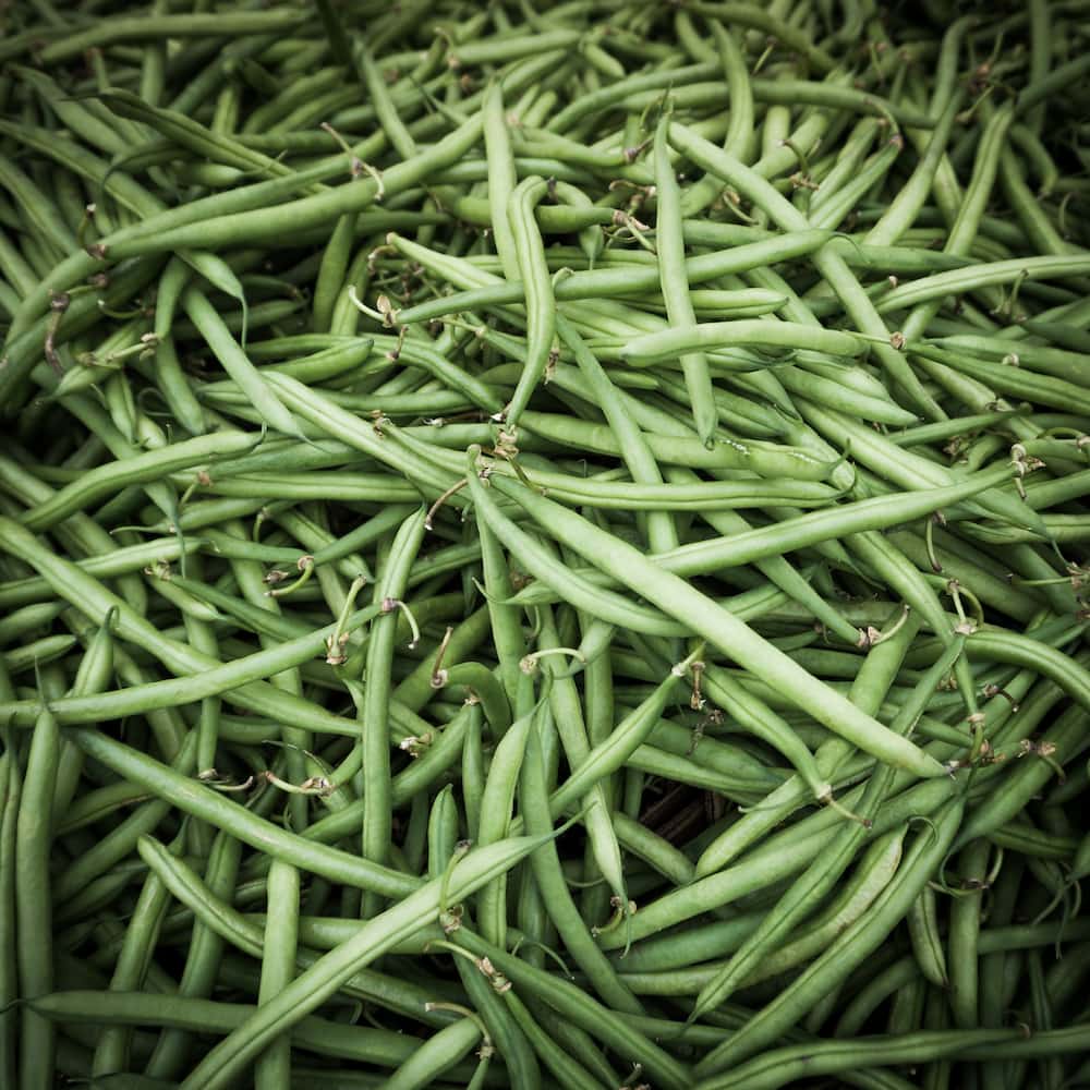 judias verdes recetas 1763120342 judías verdes recetas