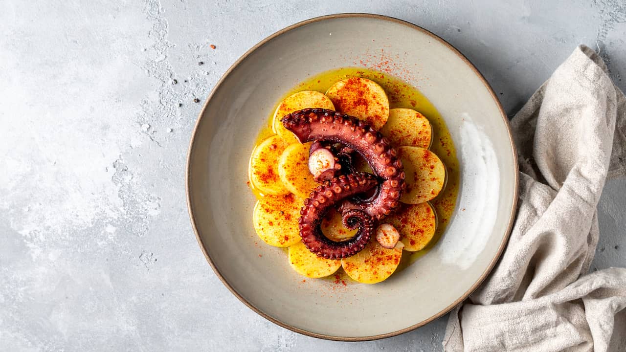 Pulpo a Feira Emplatado con Cachelos Recetas Paulina Cocina 1784727280 1784727280 Pulpo a Feira Emplatado con Cachelos Recetas Paulina Cocina 1784727280 1784727280
